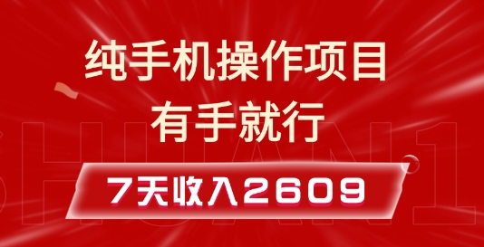 纯手机操作的小项目，有手就能做，7天收入2609+实操教程插图