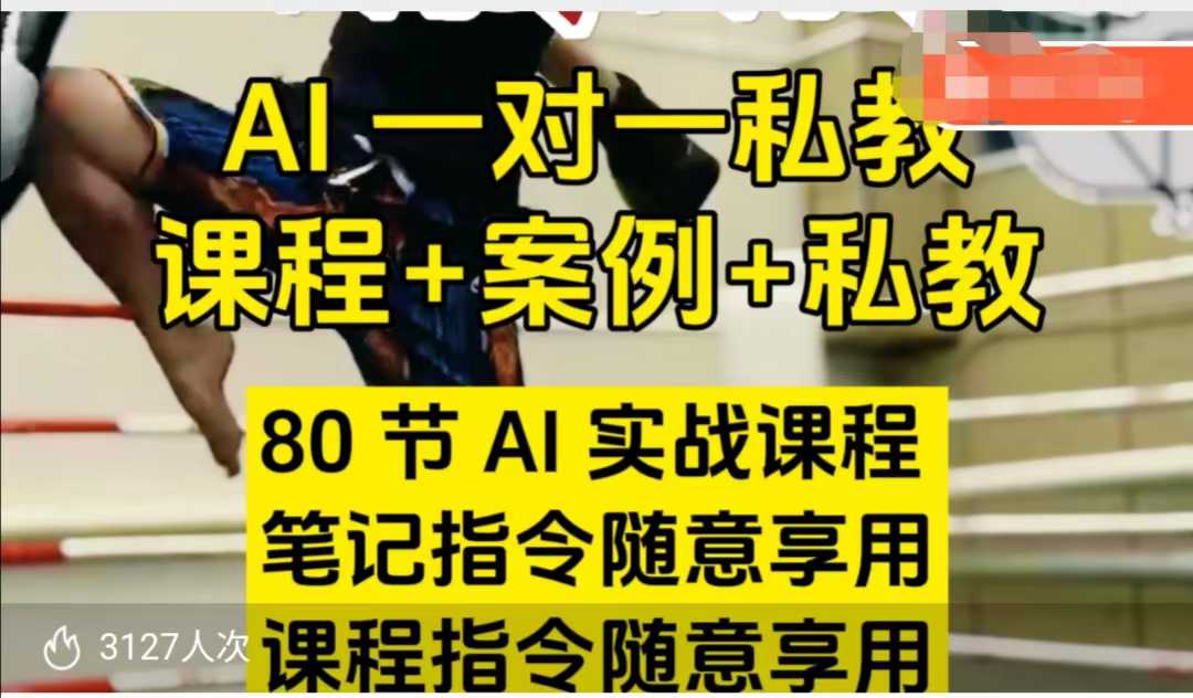AI指令实战课，课程+案例，80节AI实战课程，笔记指令随意享用，课程指令随意享用插图
