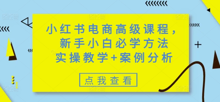 小红书电商高级课程，新手小白必学方法，实操教学+案例分析插图