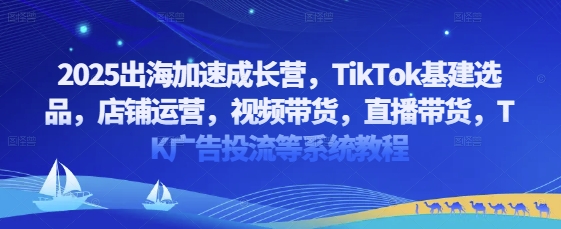 2025出海加速成长营，TikTok基建选品，店铺运营，视频带货，直播带货，TK广告投流等系统教程插图