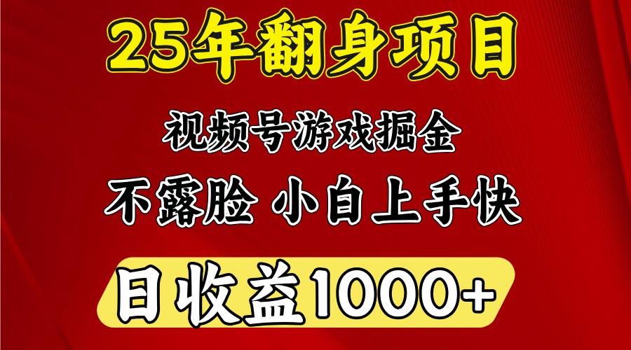 一天收益1000+ 25年开年落地好项目插图