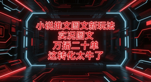 小说推文图文新玩法，实况图文，万播二十单，这转化太牛了！插图