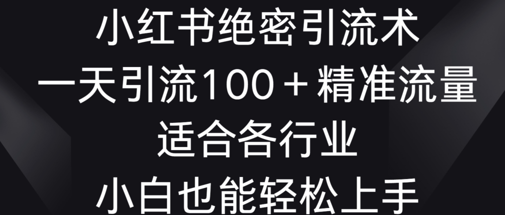 小红书绝密引流术，一天引流100+精准流量，适合各个行业，小白也能轻松上手插图