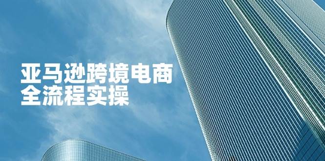 亚马逊跨境电商全流程实操，教你从零开始，掌握店铺运营与广告技巧插图