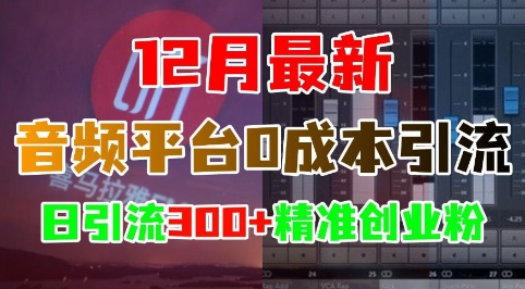 12月最新：音频平台0成本引流，日引流300+精准创业粉插图