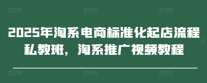 2025年淘系电商标准化起店流程私教班，淘系推广视频教程插图