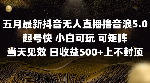 2025五月最新无人直播撸音浪单日产出5张+实操教程插图