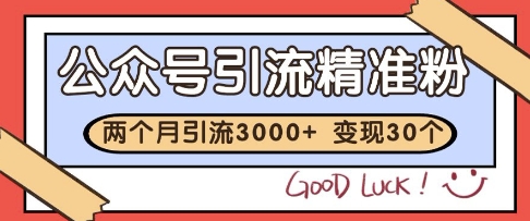公众号精准粉引流玩法，2个月3000+精准粉，变现30个W插图
