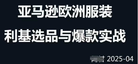 跨境电商选品案例24-25年，聚焦跨境电商选品策略与运营优化，助力卖家挖掘蓝海市场插图