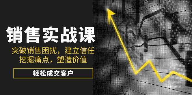 销售实战课，突破销售困扰，建立信任，挖掘痛点，塑造价值，轻松成交客户插图