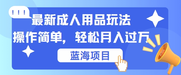 最新成人用品项目玩法，操作简单，动动手，轻松日入几张插图