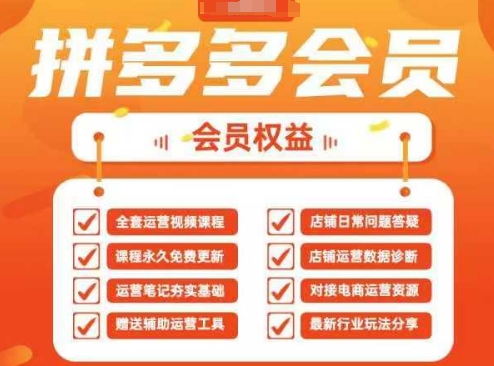 2025拼多多运营实战课，40节全流程教学，覆盖拼多多运营全链路插图