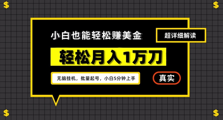 谷歌看广告撸美金2.0，无脑挂机，多号操作，月入1万刀插图