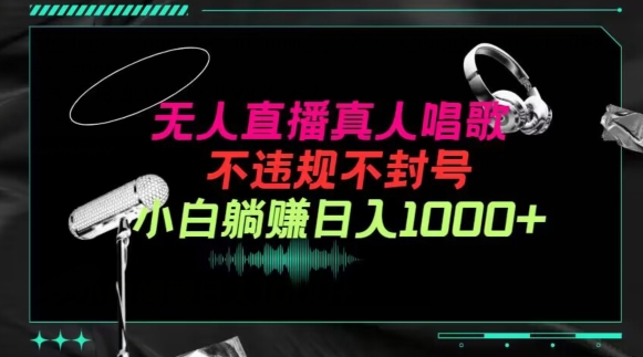 抖音24小时无人直播音乐，不违规，不封号纯撸音浪，小白实操当天日入1000+插图