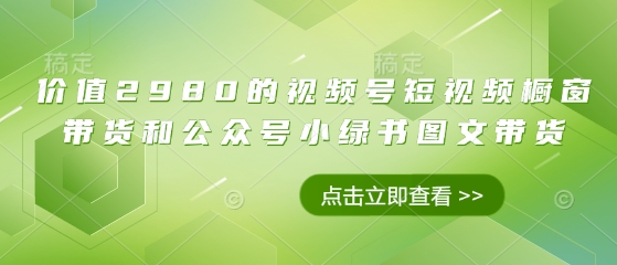 价值2980的视频号短视频橱窗带货和公众号小绿书图文带货插图