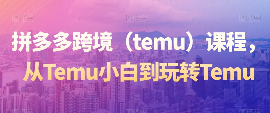 拼多多跨境（temu）课程，从Temu小白到玩转Temu插图