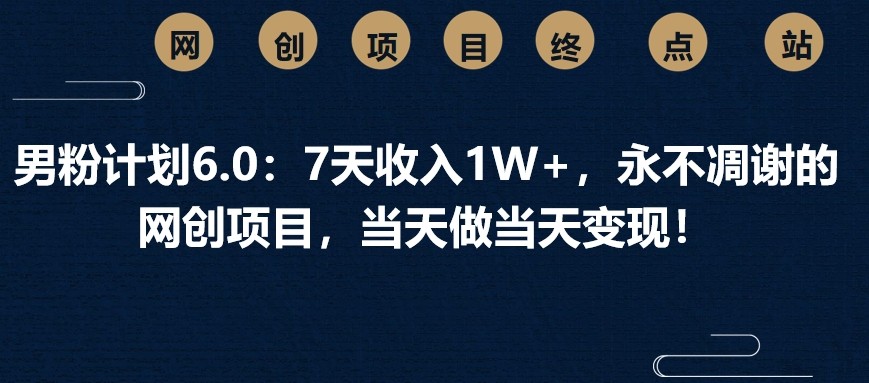 男粉计划6.0：7天收入1W+，永不凋谢的网创项目，当天做当天变现！插图