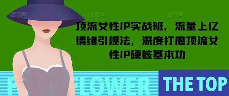 顶流女性IP实战班，流量上亿情绪引爆法，深度打磨顶流女性IP硬核基本功插图