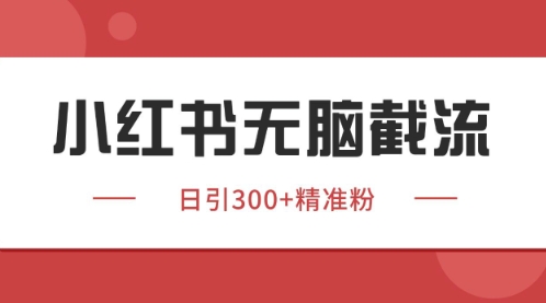 小红书只要你有同行就能获客，独家野路子获客玩法，暴力截流插图