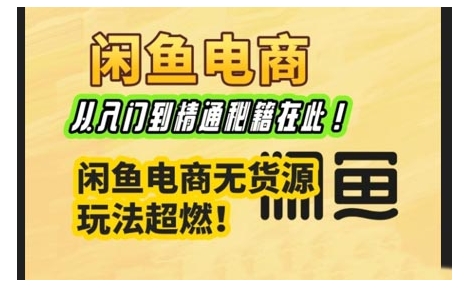 闲鱼电商实战课，从入门到精通秘籍在此，闲鱼电商无货源玩法超燃!插图