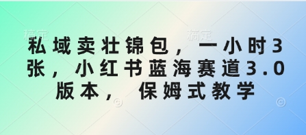 私域卖壮锦包，一小时3张，小红书蓝海赛道3.0版本， 保姆式教学插图
