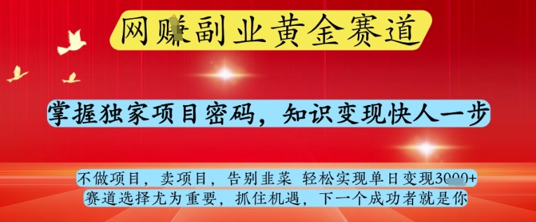 网创副业黄全赛道，掌握独家项目密码，知识变现快人一步，告别韭菜轻松实现单日变现1k+插图