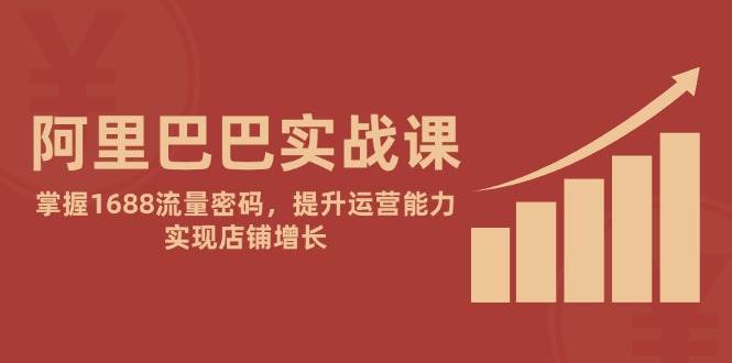 阿里巴巴实战课：掌握1688流量密码，提升运营能力，实现店铺增长插图