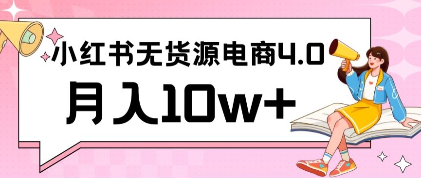 小红书新电商实战，无货源实操从0到1月入10w+联合抖音放大收益插图
