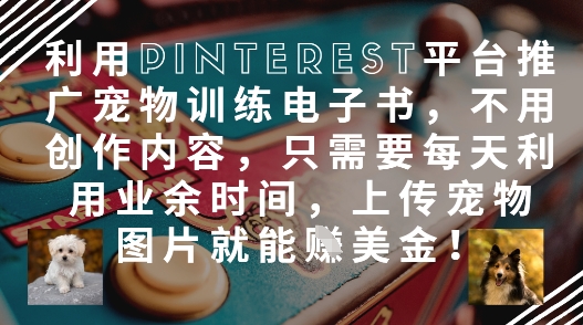 利用Pinterest平台推广宠物训练电子书，不用创作内容，只需要每天利用业余时间，上传宠物图片就能挣美金!插图