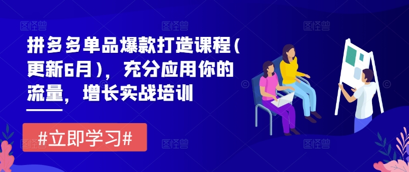 拼多多单品爆款打造课程(更新6月)，充分应用你的流量，增长实战培训插图