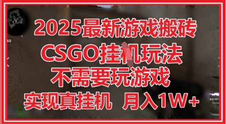 2025最新游戏搬砖，CSGO挂G，不需要玩游戏，实现真挂G，月入1W+插图