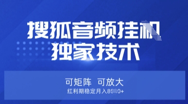 【搜狐音频挂G】独家技术，可矩阵可放大，红利期稳定月入8k插图
