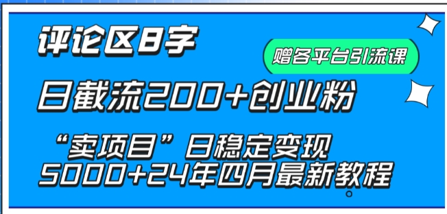 抖音评论区8字日截流200+创业粉 “卖项目”日稳定变现5000+插图