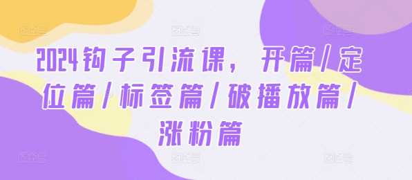 2024钩子引流课，开篇/定位篇/标签篇/破播放篇/涨粉篇插图