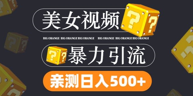 搬运tk美女视频全网分发，日引s粉300+，轻松变现，不限流量不封号插图