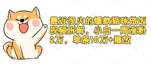 最近很火的爆款猫咪做饭视频拆解，小白一周涨粉2万，单条10万+播放(附保姆级教程)插图