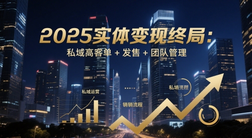 2025实体变现终局：私域高客单+发售+团队管理插图