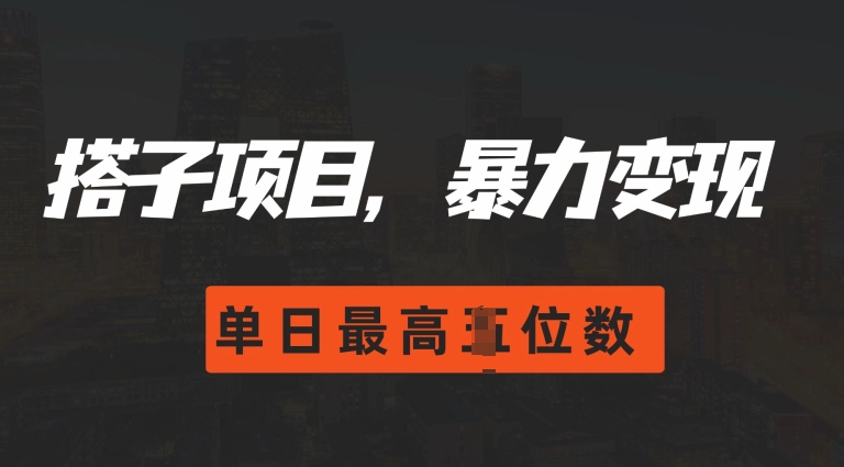2024搭子玩法，0门槛，暴力变现，单日最高破四位数插图