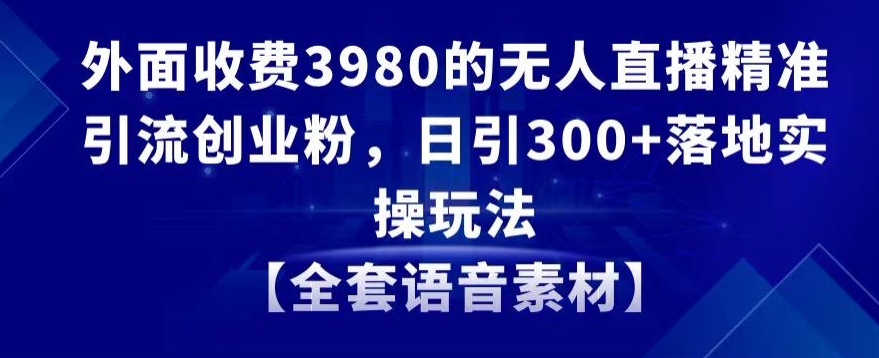 外面收费3980的无人直播精准引流创业粉，日引300+落地实操玩法【全套语音素材】插图
