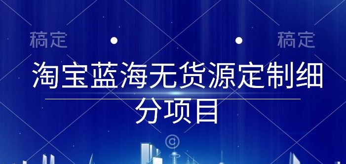 淘宝蓝海无货源定制细分项目，从0到起店实操全流程插图