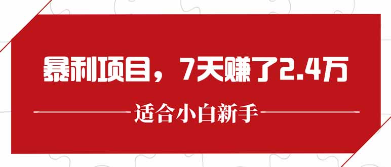 最新暴利项目，每单收益轻松在300以上，7天赚了2.4万插图