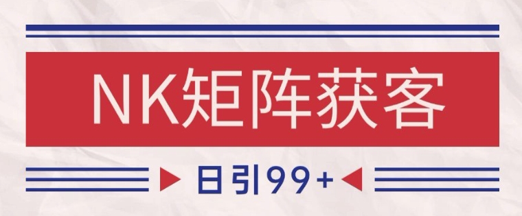 小红书某音NK赛道引流获客 自热矩阵日引200+插图