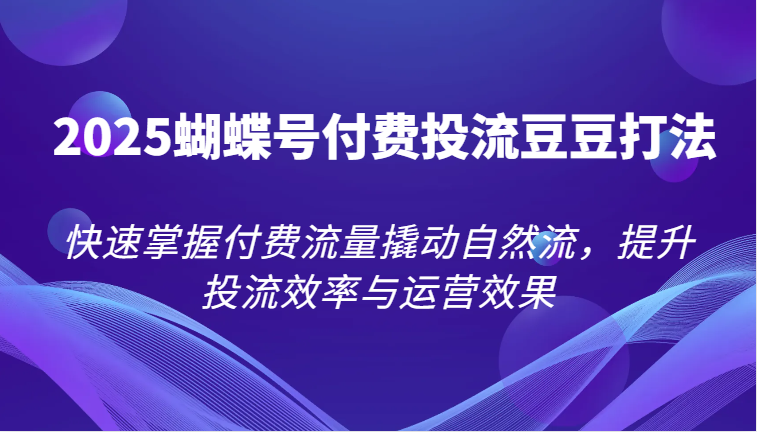 2025蝴蝶号付费投流豆豆打法，快速掌握付费流量撬动自然流，提升投流效率与运营效果插图