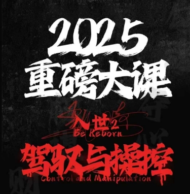 2025重磅大课，入世2，驾驭与控制插图