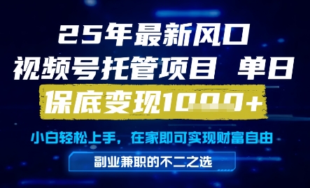 25年最新风口，视频号托管项目，单日保底变现1k+，手把手教学插图